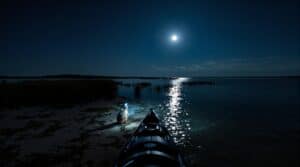 A person paddles a kayak by moonlight on a calm bay near Port St. Joe, with a raccoon standing at the water’s edge and marsh grass along the shoreline under a starry sky.