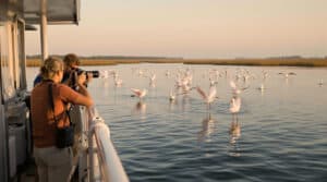 Two photographers on a ferry photographing roseate spoonbills flying low over calm bay waters at sunrise near Port St. Joe, Florida, with soft light and distant marshes in the background.