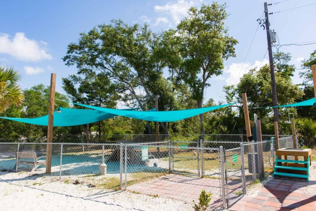 Outdoor pool area with blue shade sails, fenced enclosure, sandy ground, walkway, and trees in the background under a sunny sky.