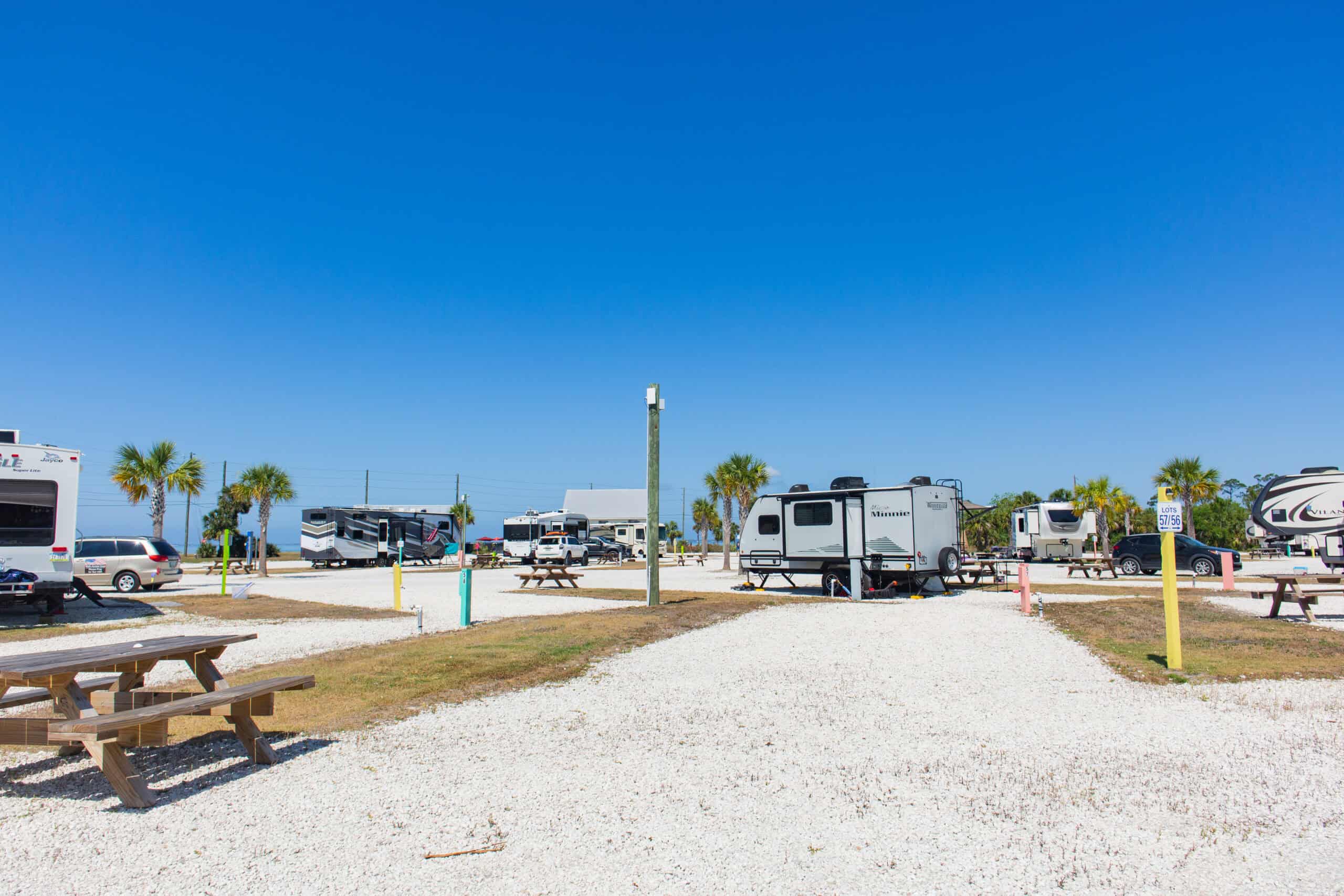Gravel RV park with multiple campers, picnic tables, palm trees, and clear blue sky. No people visible.